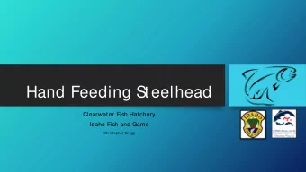 Hand Feeding S  teelhead  Clearwater Fish Hatchery  Idaho Fish and Game  Christ opher Gregg  Table