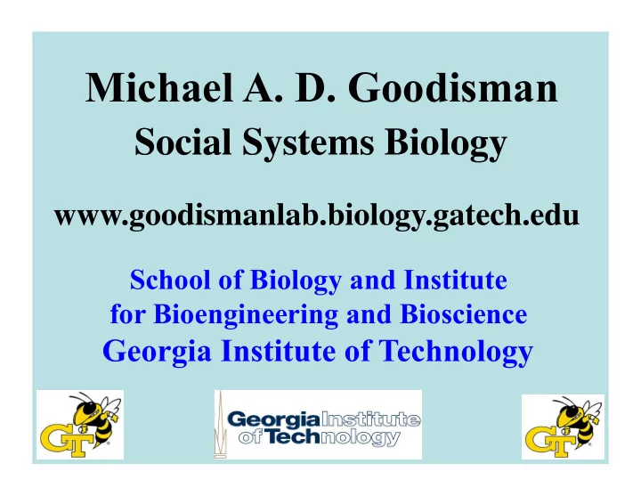michael a d goodisman