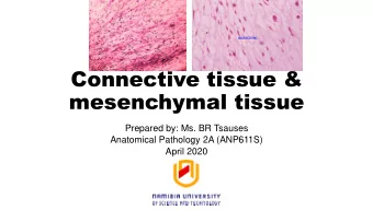 mesenchymal tissue  Prepared by: Ms. BR Tsauses  Anatomical Pathology 2A (ANP611S)  April 2020