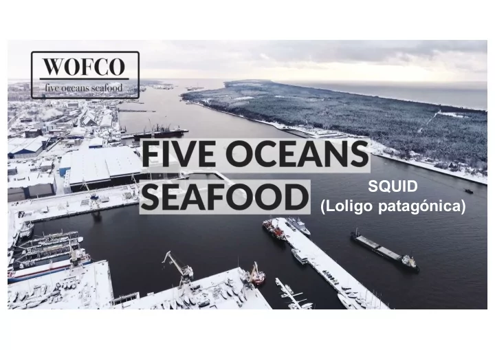 squid loligo patag nica caughts areas