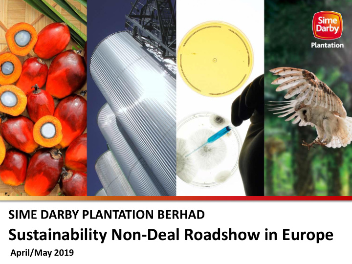 sustainability non deal roadshow in europe