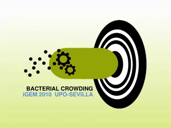 BACTERIAL CROWDING  iGEM 2010  UPO-SEVILLA  Who are we?  Pablo de Olavide University  The simplest