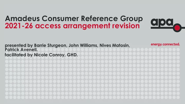 amadeus consumer reference group 2021 26 access