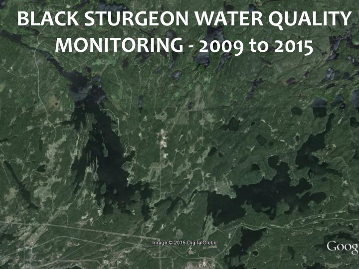 black sturgeon water quality