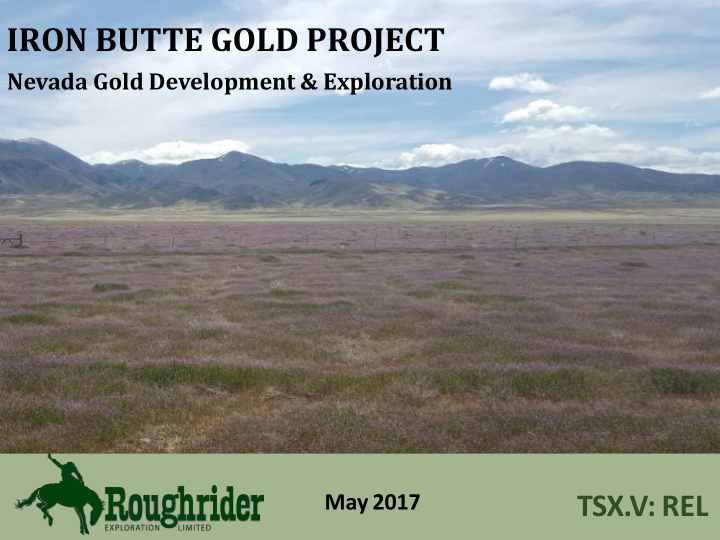 iron butte gold project