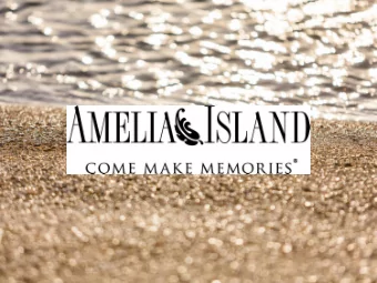 when the Public Records and Meetings Constitutional Amendment took effect on July 1, 1993. A copy