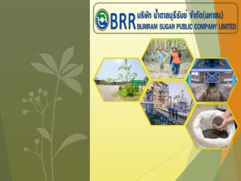 AGENDA  I.    BRR in Brief II.  Operating Results  Q 3 /2018  III.  Sugar Situations  IV.