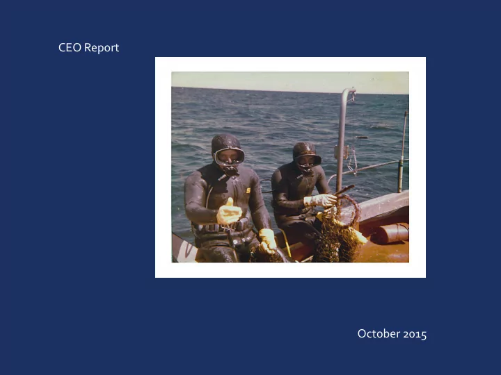 ceo report