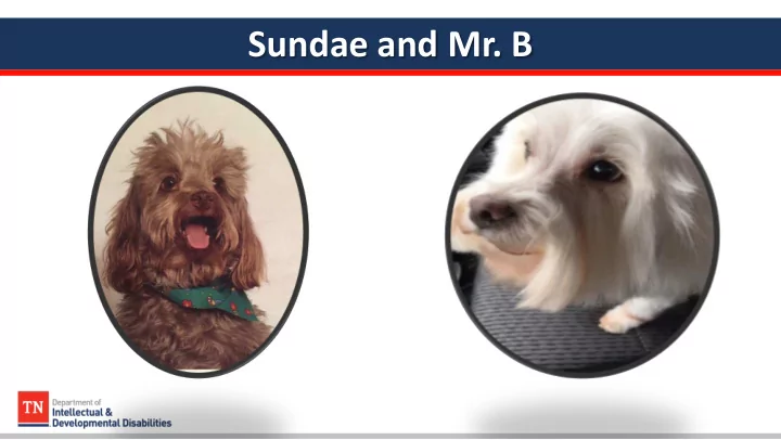 sundae and mr b national core indicators tennessee 2019