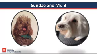 Sundae and Mr. B  National Core Indicators  Tennessee 2019  National Core Indicators Tennessee