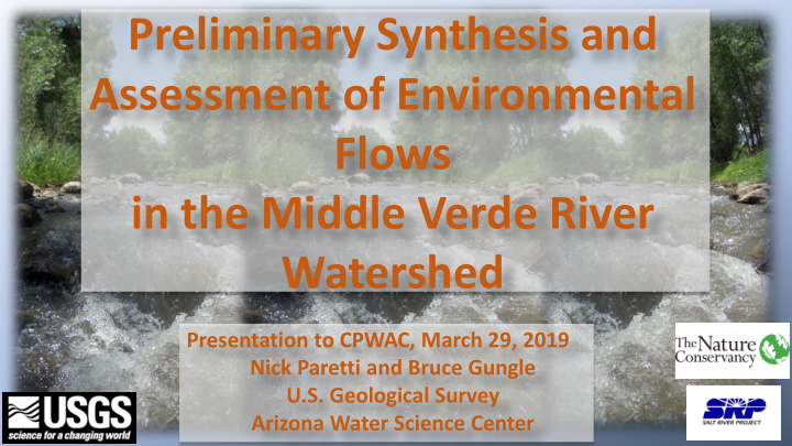 preliminary synthesis and assessment of environmental