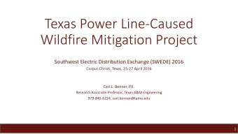 Texas Power Line-Caused  Wildfire Mitigation Project  Southwest Electric Distribution Exchange