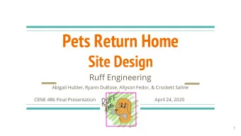 Pets Return Home  Site Design  Ruff Engineering  Abigail Hubler, Ryann DuBose, Allyson Fedor, &amp;