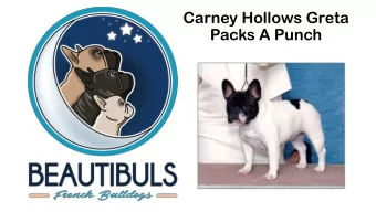 Packs A Punch  Eye and Heart  Exams