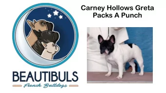 Packs A Punch  Eye and Heart  Exams