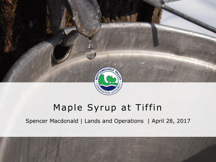 maple syrup at tiffin