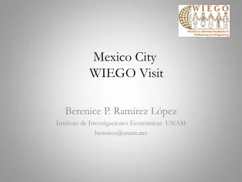WIEGO Visit  Berenice P. Ramrez Lpez  Instituto de Investigaciones Econmicas  UNAM