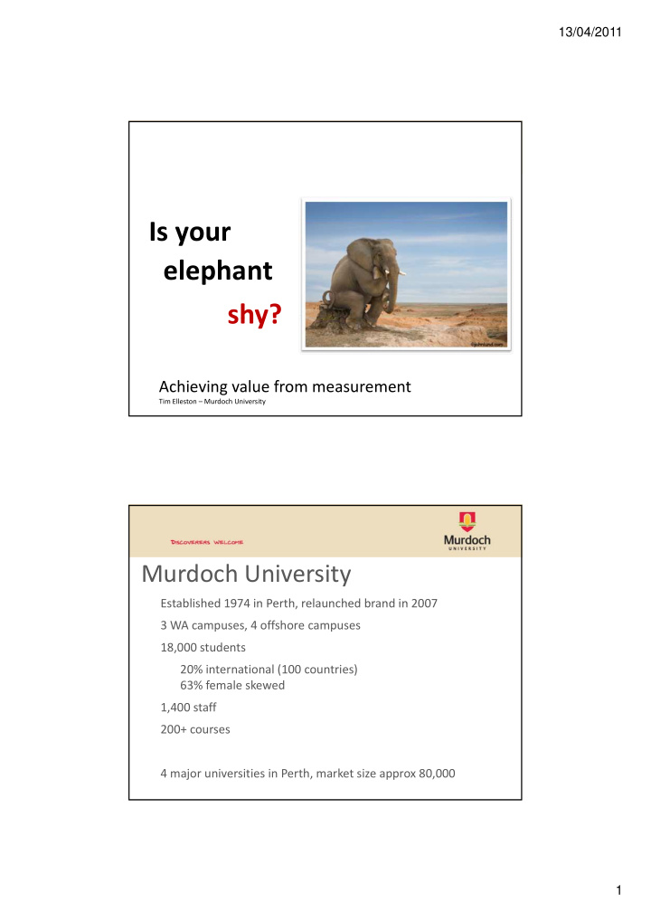 is your elephant shy shy