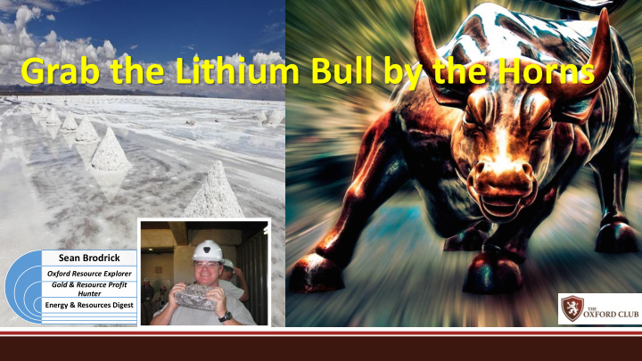 grab the lithium bull by the horns