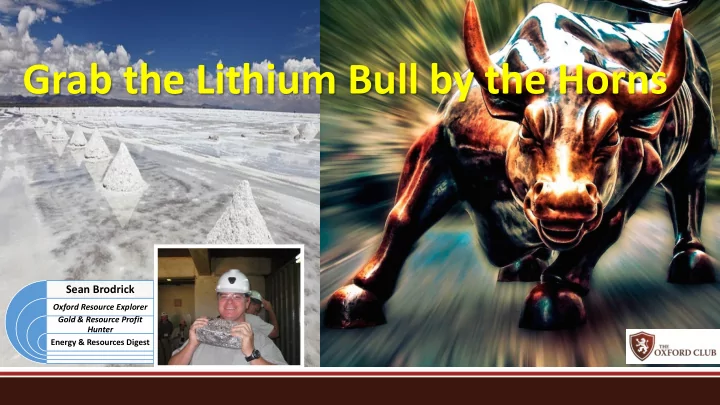 grab the lithium bull by the horns