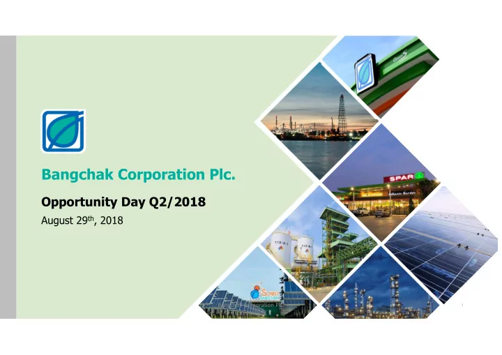 bangchak corporation plc
