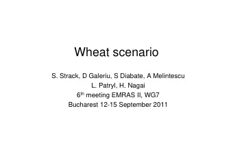 Wheat scenario  S. Strack, D Galeriu, S Diabate, A Melintescu  L. Patryl, H. Nagai 6 th meeting