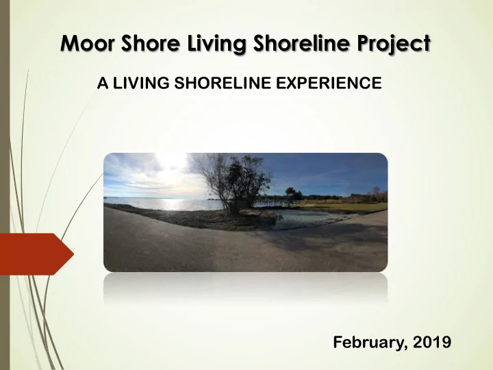 moor shore living shoreline project