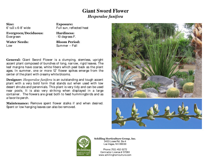 giant sword flower
