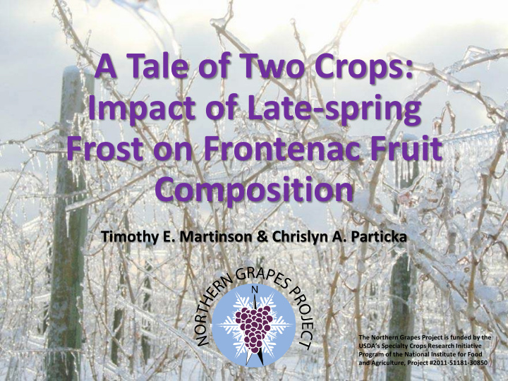 a tale of two crops impact of late spring frost on