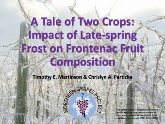 A Tale of Two Crops:  Impact of Late-spring  Frost on Frontenac Fruit  Composition  Timothy E.