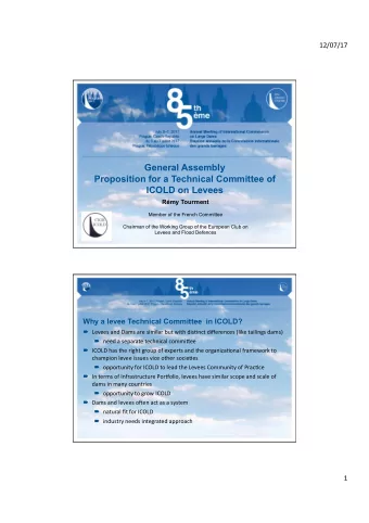 General Assembly  Proposition for a Technical Committee of  ICOLD on Levees  Rmy Tourment  Member