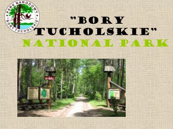 Bory Tucholskie  National Park  Contents  1. The situation of the Park  2. Lakes  3. Angling