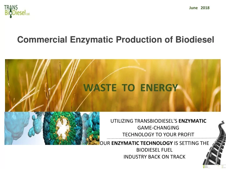 waste to energy utilizing transbiodiesel s enzymatic game