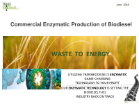 waste to energy utilizing transbiodiesel s enzymatic game