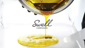 C O M PA N I E S  DEFINING THE FUTURE OF CANNABIS  ERIC SHOEMAKER  PRESIDENT - SWELL COMPANIES LTD