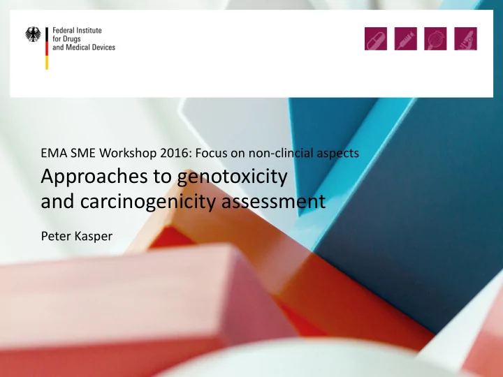 approaches to genotoxicity and carcinogenicity assessment