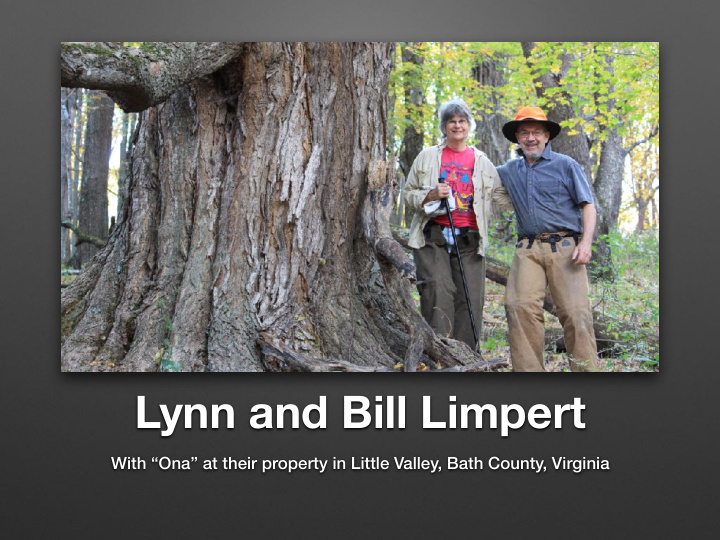 lynn and bill limpert