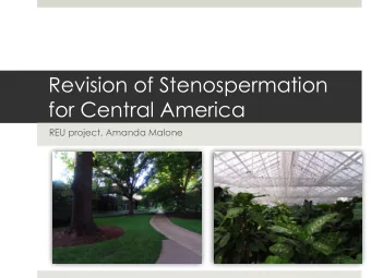 Revision of Stenospermation  for Central America  REU project, Amanda Malone  Overview