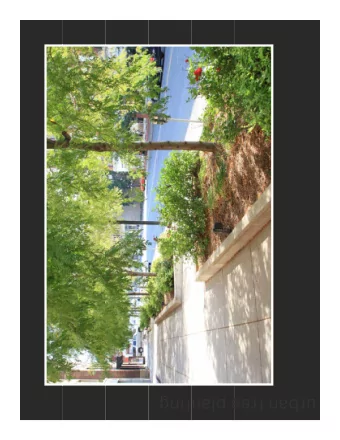 ting  e plan  n tree  urba  ent  lishm  estab  Site Conditions +  Required Maintenance  Potential