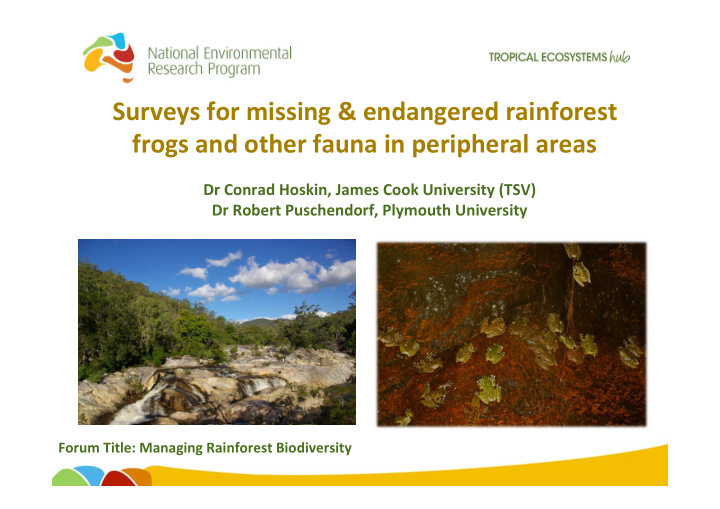 surveys for missing endangered rainforest frogs and other