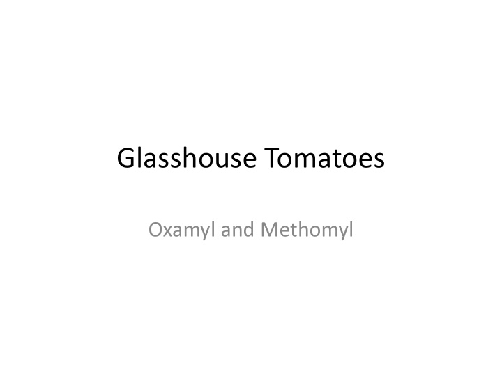 glasshouse tomatoes