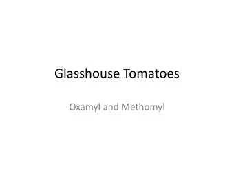 Glasshouse Tomatoes  Oxamyl and Methomyl  Glasshouse Tomato Production  Each glasshouse works on