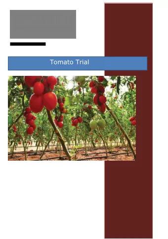 Tomato Trial  Shuwaib Farms Brief  Located in Shuwib near Madam in Al Ain Shuwib farms is the  only