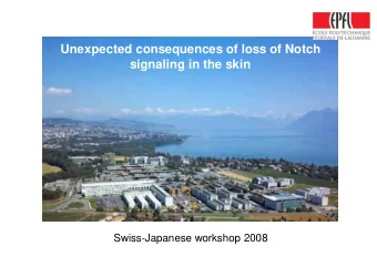 Unexpected consequences of loss of Notch  signaling in the skin  Swiss-Japanese workshop 2008
