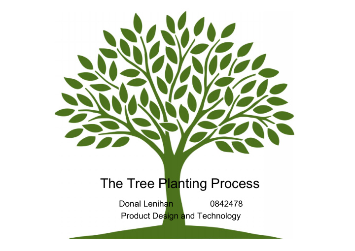 the tree planting process