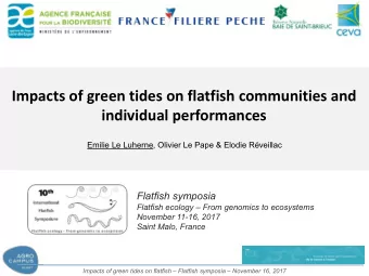 Impacts of green tides on flatfish communities and  individual performances  Emilie Le Luherne,