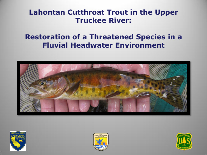 restoration of a threatened species in a fluvial