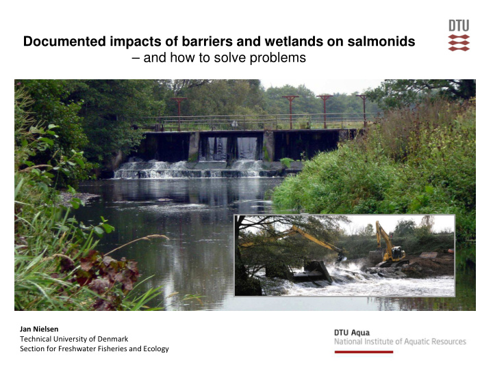 documented impacts of barriers and wetlands on salmonids