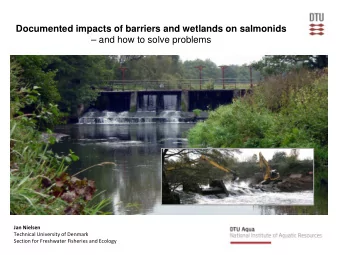 Documented impacts of barriers and wetlands on salmonids   and how to solve problems  Jan