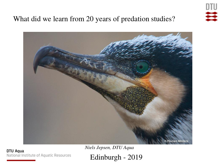 what did we learn from 20 years of predation studies